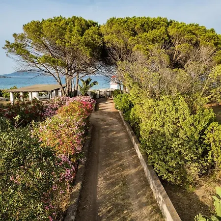Bay Pine - Klodge Vila Olbia