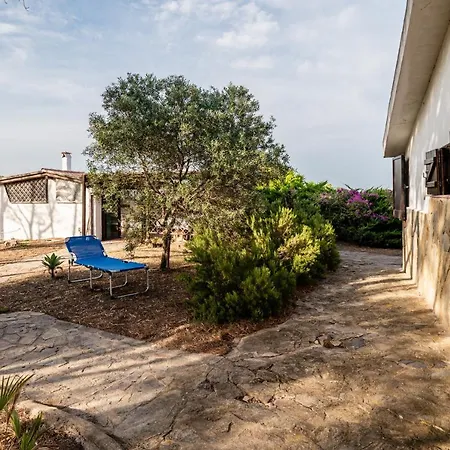 Bay Pine - Klodge Vila Olbia