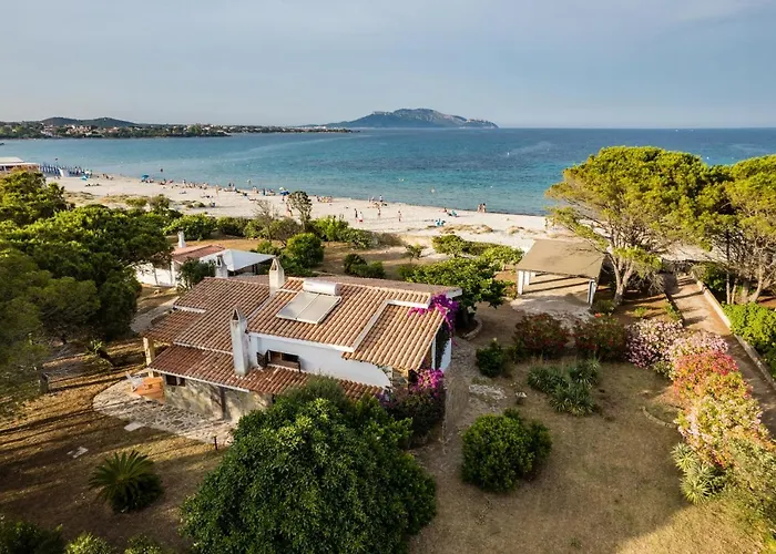 Bay Pine - Klodge * Olbia